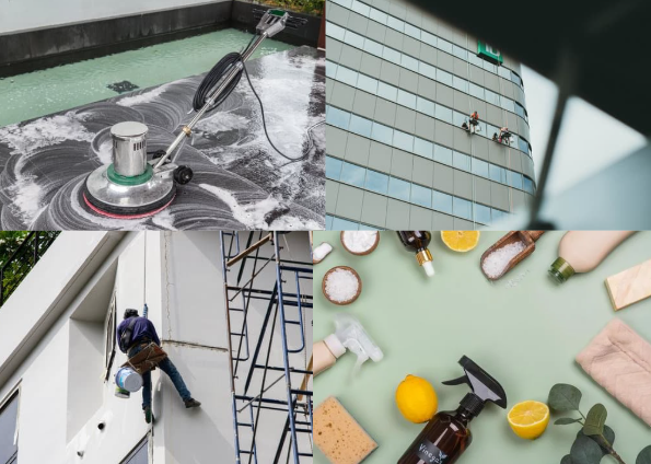 Exterior Maintenance and Cleaners